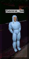 Senna_94.jpg (22583 bytes)