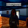 Shagwell.jpg (62600 bytes)