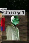 Shiny1.jpg (19621 bytes)