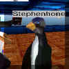 Stephenhone.jpg (30568 bytes)